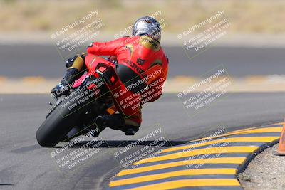 media/Oct-08-2022-SoCal Trackdays (Sat) [[1fc3beec89]]/Turn 11 Backside (1145am)/